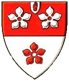 Family coat of arms (the one without swine!)